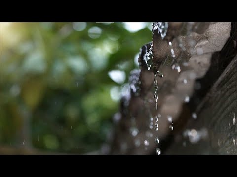 Catching Raindrops in Africa