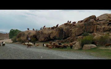 Losing Ground: Documentary Cinema, Pastoral Knowledge, and Environmental Justice in Mongolia